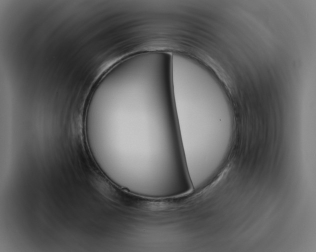 X0000088181465200705150930