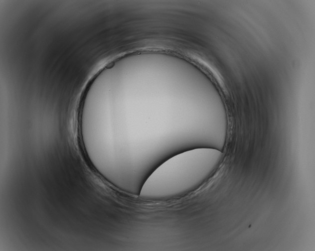 X0000088181467200705150930