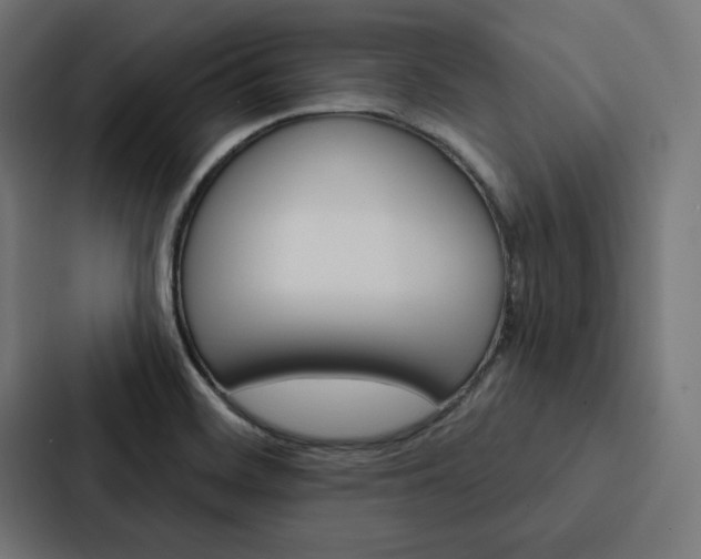 X0000088181468200705150930