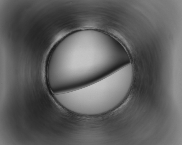 X0000088181469200705150930