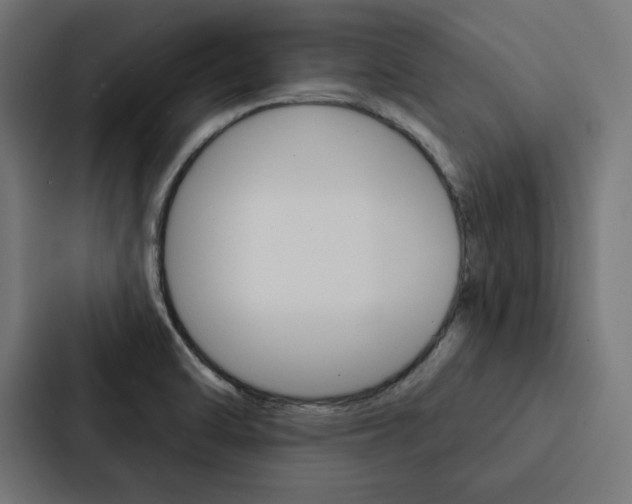 X0000088181470200705150930