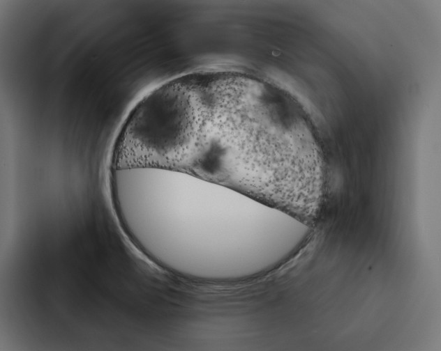 X0000088181471200705150930