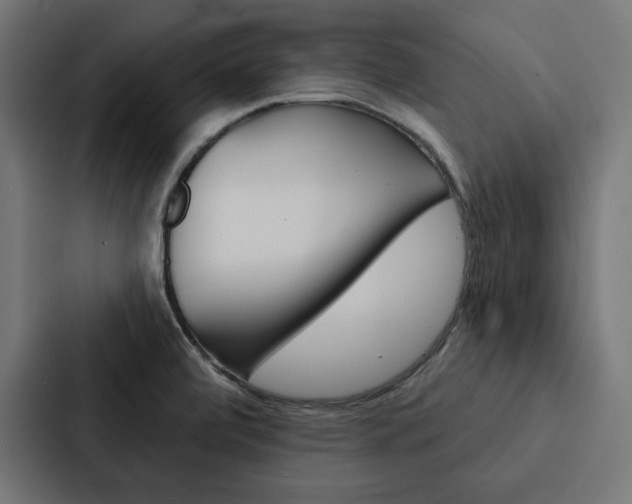 X0000088181472200705150930