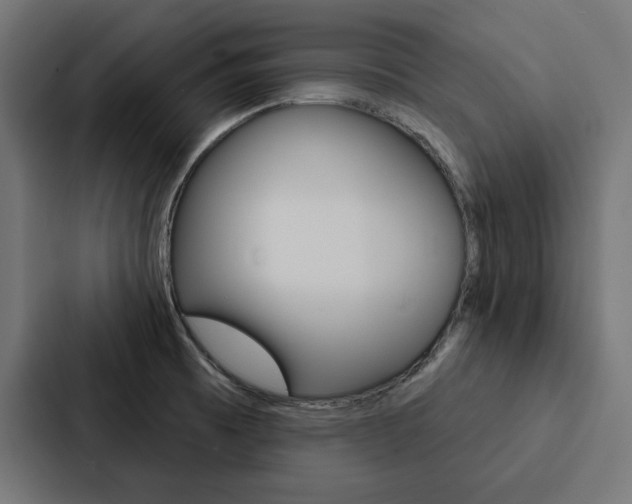 X0000088181473200705150929