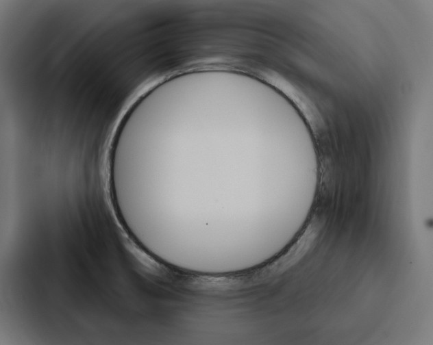 X0000088181474200705150929