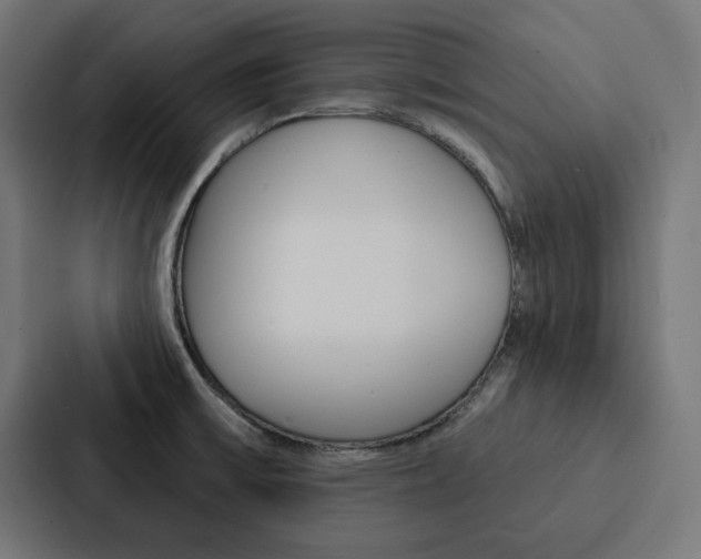 X0000088181475200705150929