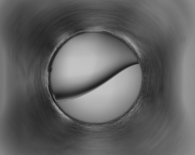 X0000088181476200705150929