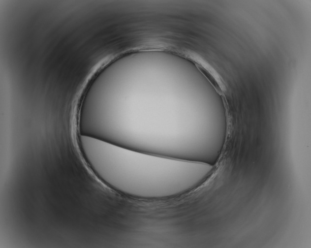 X0000088181477200705150929