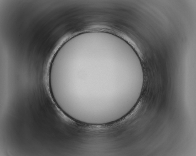 X0000088181478200705150929