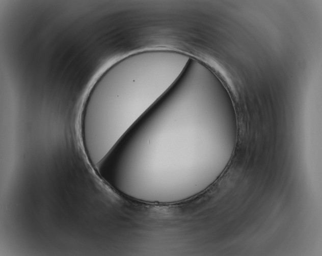 X0000088181480200705150929