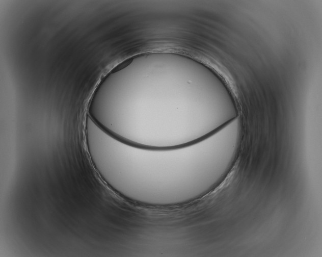 X0000088181481200705150929