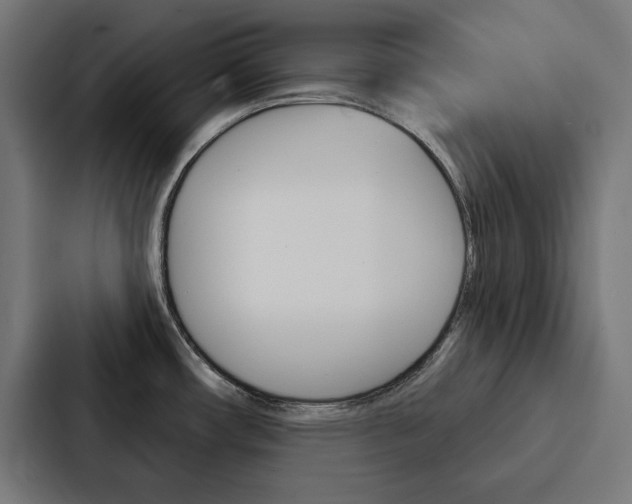 X0000088181482200705150929