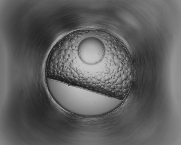 X0000088181483200705150929