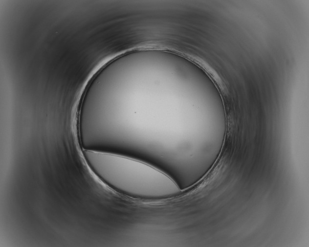 X0000088181484200705150929