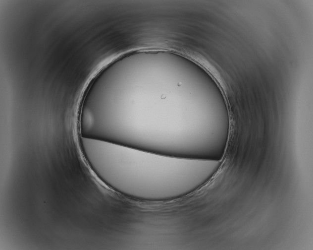 X0000088181485200705150929