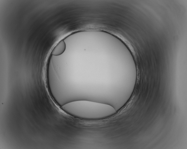 X0000088181486200705150929