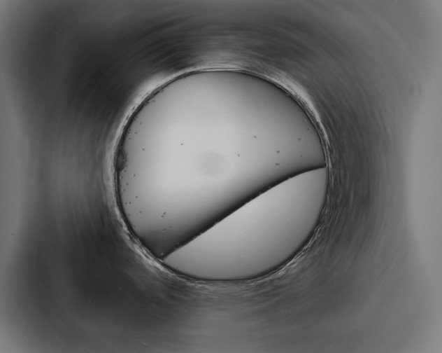 X0000088181488200705150929