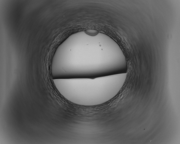 X0000088181489200705150929
