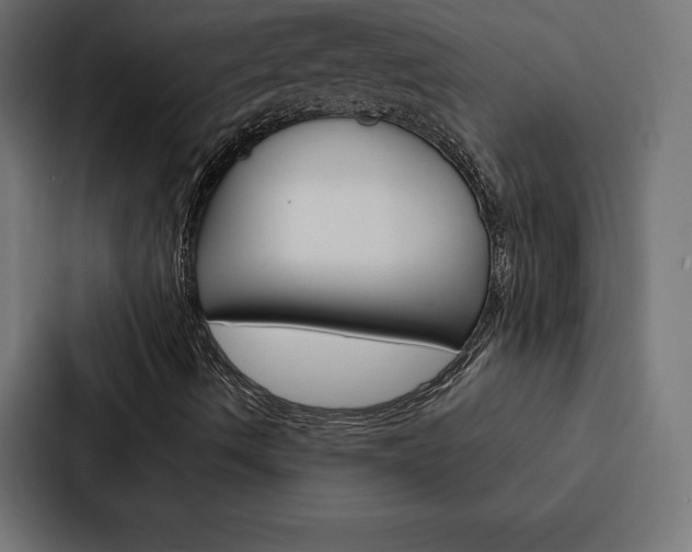 X0000088181490200705150929