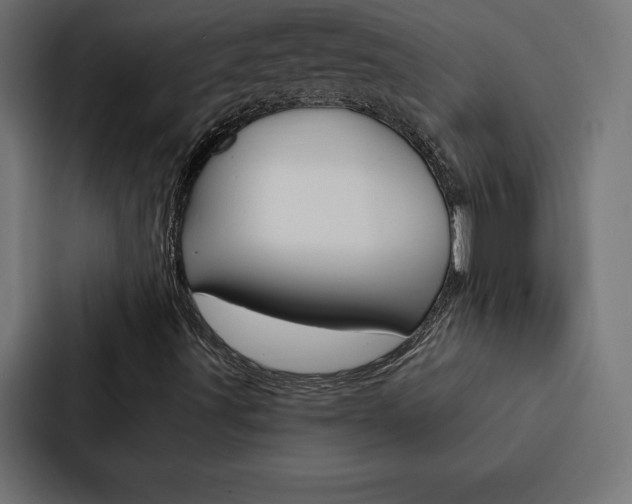 X0000088181491200705150929