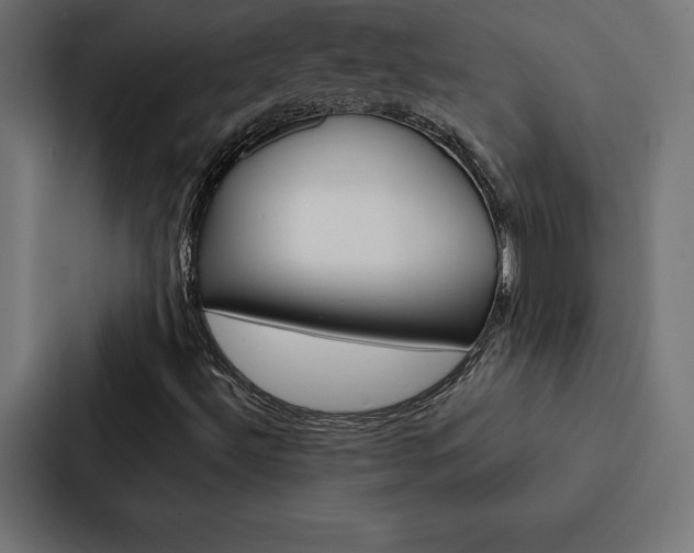 X0000088181492200705150929