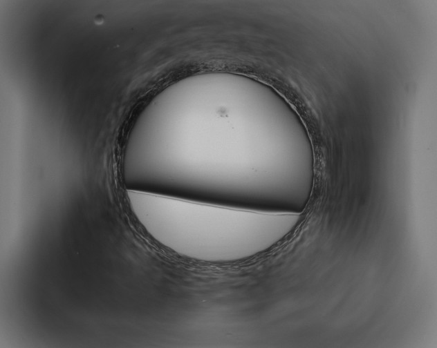 X0000088181493200705150929