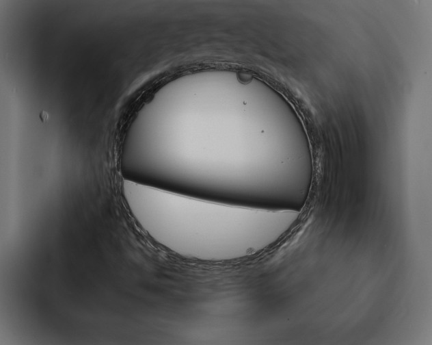 X0000088181494200705150929
