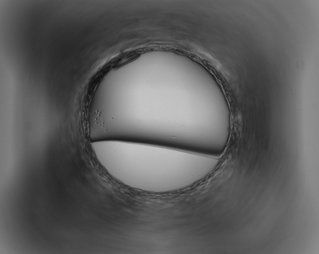 X0000088181496200705150929