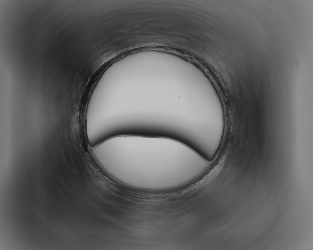X0000088181497200705150929
