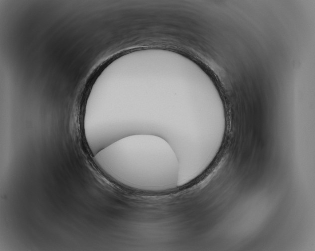 X0000088181498200705150929
