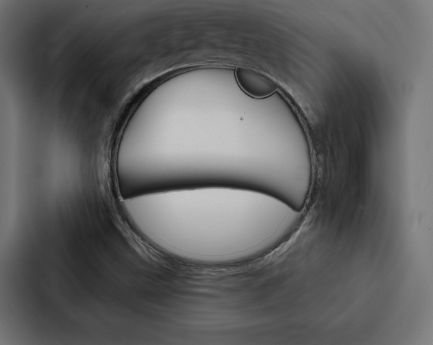 X0000088181499200705150929