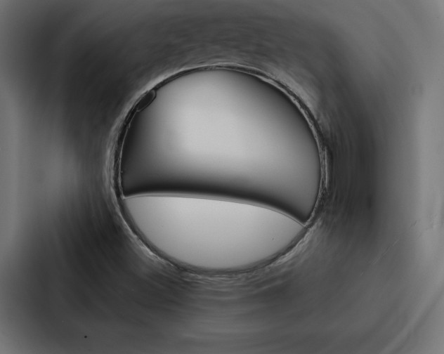 X0000088181500200705150929