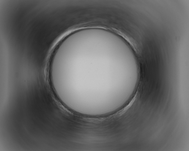 X0000088181502200705150929