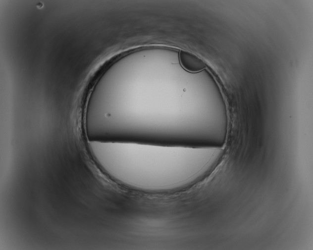 X0000088181503200705150929