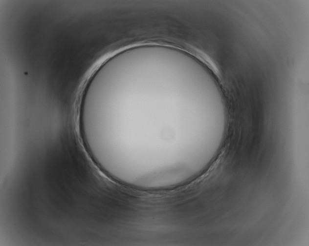 X0000088181504200705150929