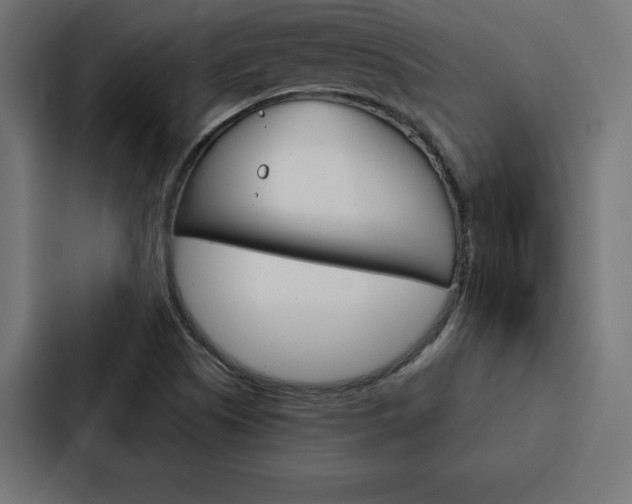 X0000088181505200705150929