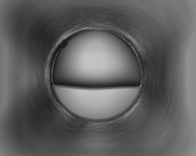 X0000088181506200705150929