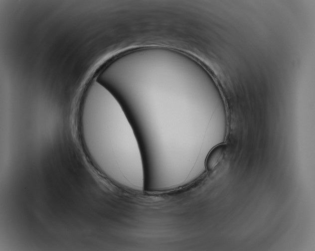 X0000088181507200705150929