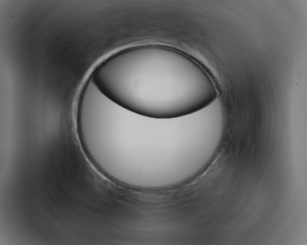 X0000088181508200705150929