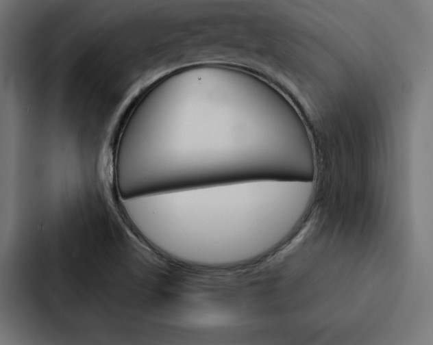 X0000088181509200705150929