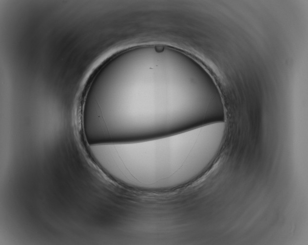 X0000088181510200705150929