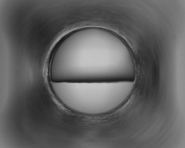 X0000088181511200705150929