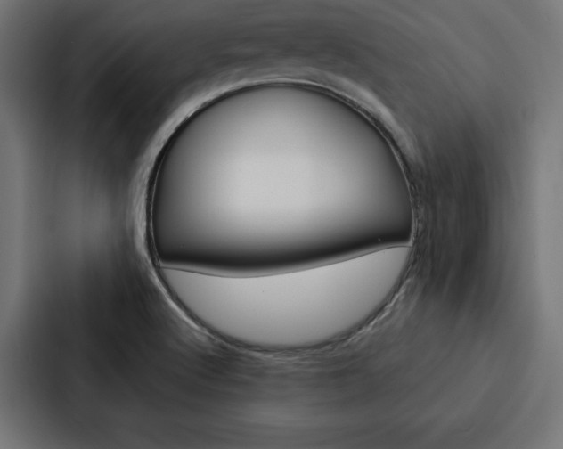 X0000088181512200705150929