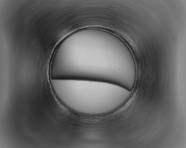 X0000088181513200705150929
