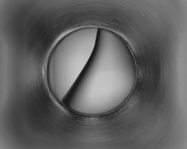 X0000088181515200705150929