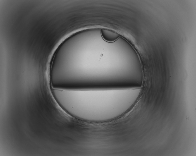 X0000088181516200705150929