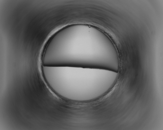 X0000088181517200705150929