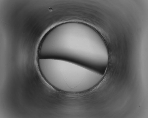X0000088181518200705150929