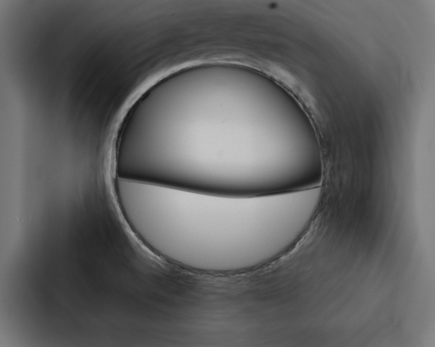 X0000088181520200705150929