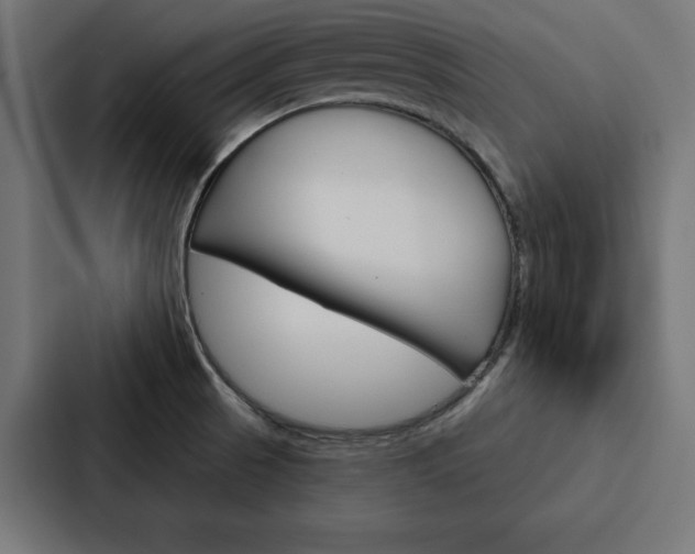 X0000088181521200705150929